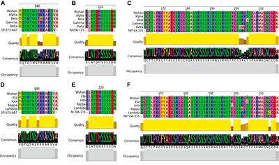 Predicted B Cell Epitopes Highlight the Potential for COVID-19 to Drive Self-Reactive Immunity